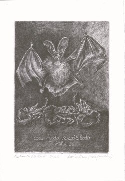 Copertina: Effluvi düreriani di Agostino Arrivabene